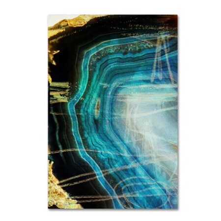 Trademark Fine Art Natasha Wescoat 'Gate 7' Canvas Art, 22x32 ALI17980-C2232GG
